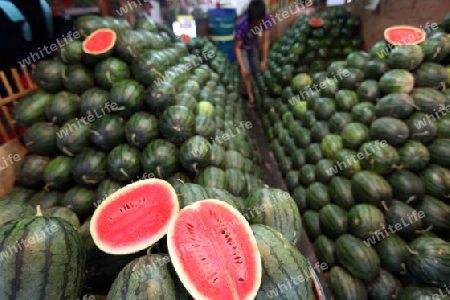 Wassermelonen auf dem Talat Warorot Markt in Chiang Mai in der Provinz Chiang Mai im Norden von Thailand in Suedostasien.