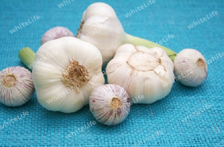 knoblauch