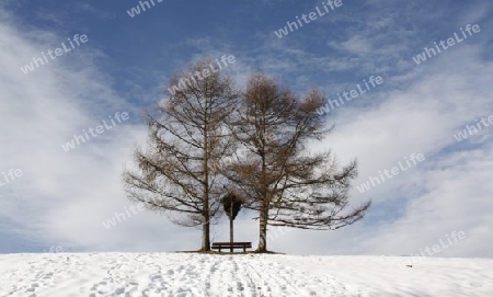 Winterlandschaft