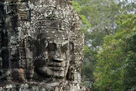 Stone Faces the Tempel Ruin of Angkor Thom in the Temple City of Angkor near the City of Siem Riep in the west of Cambodia.