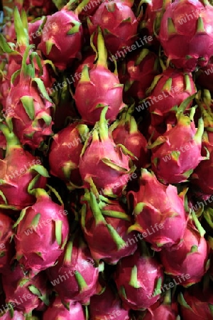 Drachenfruechte auf dem Pak Khlong Markt von Bangkok der Hauptstadt von Thailand in Suedostasien.