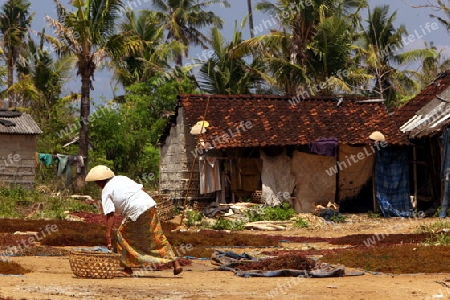 Asien, Suedost, Indonesien, Bali, Insel, Nusa Lembongan, Jungutbatu, Dorf, Hauptort, Altstadt, Tempel, Gasse, Dorf, Architektur, Alltag, Tradition, Kultur,     (Urs Flueeler) 