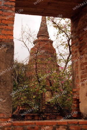 Der Wat Ratburana Tempel in der Tempelstadt Ayutthaya noerdlich von Bangkok in Thailand. 