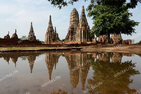 The Wat Chai Wattanaram Temple in City of Ayutthaya in the north of Bangkok in Thailand, Southeastasia.