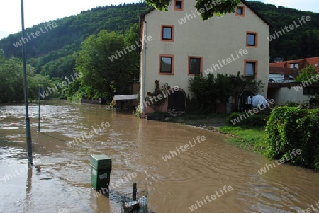 Hochwasser Rhein-Neckar