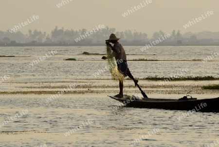 Fishermen at sunset in the Landscape on the Inle Lake in the Shan State in the east of Myanmar in Southeastasia.