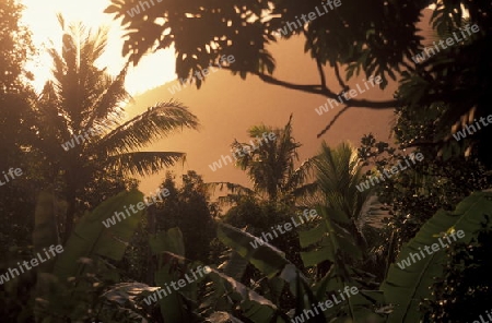 the mountain Landscape on the Island of Anjouan on the Comoros Ilands in the Indian Ocean in Africa.   