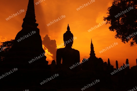 Eine Buddha Figur  im Wat Mahathat Tempel in der Tempelanlage von Alt-Sukhothai in der Provinz Sukhothai im Norden von Thailand in Suedostasien.