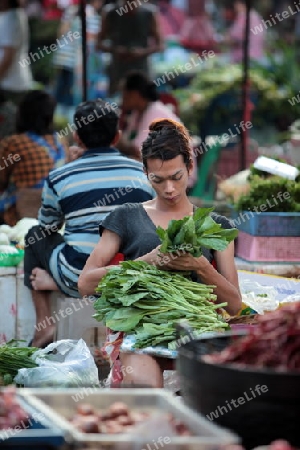 Ein Gemuesehaendler auf dem Markt von Nonthaburi im Norden von Bangkok der Hauptstadt von Thailand in Suedostasien