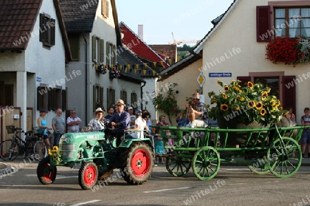  the old town of the villige  Sasbach in Kaiserstuhl in the Blackforest in the south of Germany in Europe.