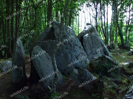 keltisches Grab im Wald