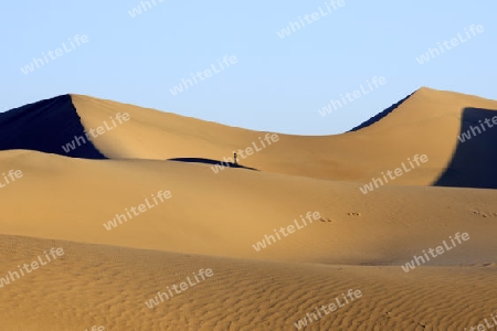 Wanderer besteigt die Mesquite Flat Dunes, bei Sonnenaufgang, Death Valley Nationalpark, Kalifornien, USA