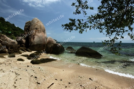 Der Strand  von Cape Je Ta Gang Beach auf der Insel Ko Tao im Golf von Thailand im Suedwesten von Thailand in Suedostasien. 