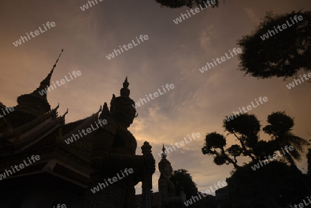 Der Wat Arun Tempel in der Stadt Bangkok in Thailand in Suedostasien.