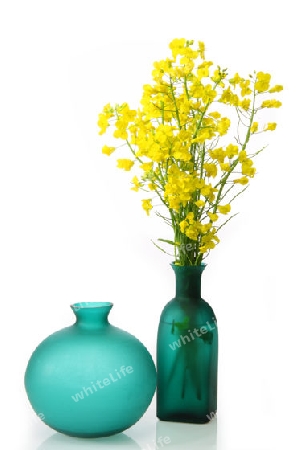 Gr?ne Blumenvase aauf hellem Hintergrund