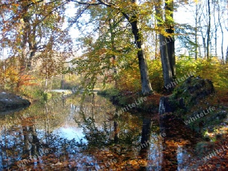 Englischer Garten M?nchen