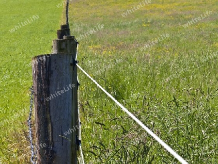 Weidezaun mit Stacheldraht