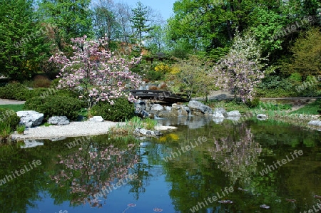 japanischer garten