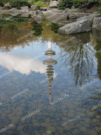 Hamburg, Wasserspiegelung im Teich