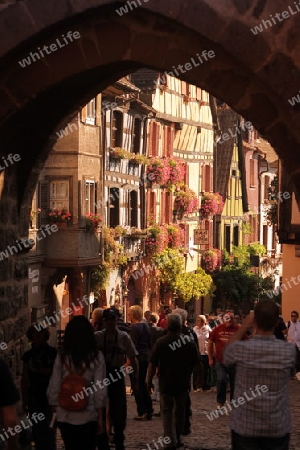 the olt town of the village of Riquewihr in the province of Alsace in France in Europe