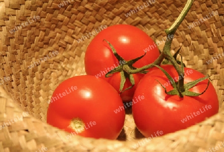 Tomaten