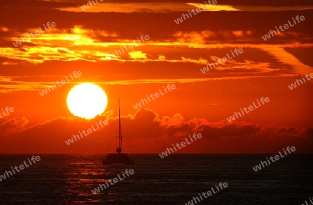 Key West Sunset