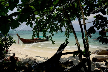 A Beach on the Island of Ko PhiPhi on Ko Phi Phi Island outside of the City of Krabi on the Andaman Sea in the south of Thailand. 