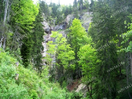 Landschaft in Bayern