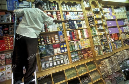 a shopping street in the souq or Market in the old town in the city of Dubai in the Arab Emirates in the Gulf of Arabia.