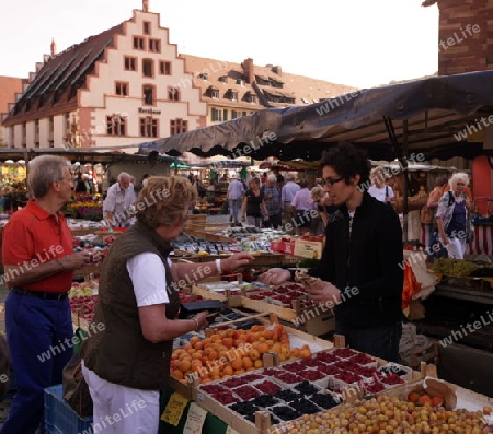 the market in the old town of Freiburg im Breisgau in the Blackforest in the south of Germany in Europe.