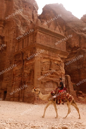 the street of Facades or Necropolis in the Temple city of Petra in Jordan in the middle east.