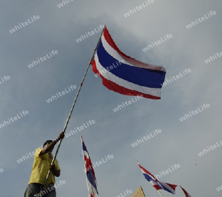 Tausende von Thailaender zelebrieren den Kroenungstag des Koenig Bhumibol auf dem Sanam Luang Park vor dem Wat Phra Kaew in der Stadt Bangkok in Thailand in Suedostasien.  