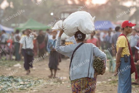 a fegetable market in a Market near the City of Yangon in Myanmar in Southeastasia.