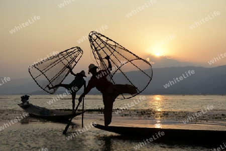 Fishermen at sunrise in the Landscape on the Inle Lake in the Shan State in the east of Myanmar in Southeastasia.