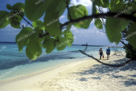 
Der Traumstrand mit Palmen und weissem Sand an der Insel Velavaru im Southmale Atoll auf den Inseln der Malediven im Indischen Ozean.   