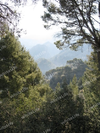 Mallorca,Tramuntana Berge im Nebel