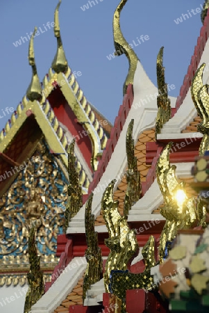 Die Tempelanlage des Wat Pho in der Hauptstadt Bangkok von Thailand in Suedostasien.