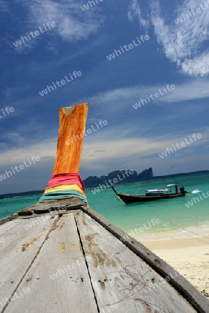 A Beach on the Island of Ko PhiPhi on Ko Phi Phi Island outside of the City of Krabi on the Andaman Sea in the south of Thailand. 