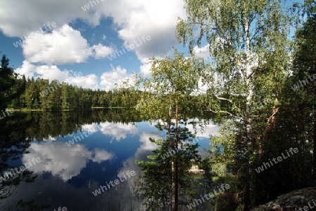 Waldsee