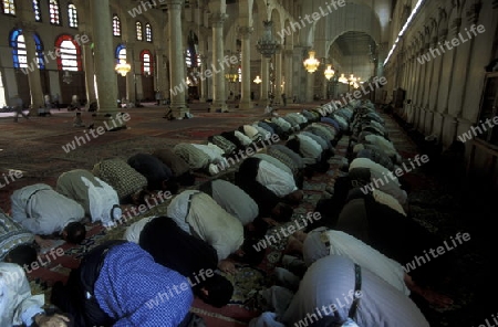 Muslime beim Beten in der Omaijaden Moschee in Damaskus der Hauptstadt von Syrien im Mittleren Osten in Arabien.