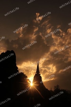 Der Wat Chang Lom im Si Satchanalai-Chaliang Historical Park rund 50 Km von Sukhothai in der Provinz Sukhothai im Norden von Thailand in Suedostasien.