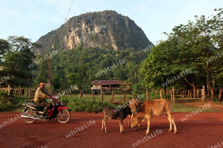 Die Landstrasse 12 beim Dorf Mahaxai Mai von Tham Pa Fa unweit der Stadt Tha Khaek in zentral Laos an der Grenze zu Thailand in Suedostasien.