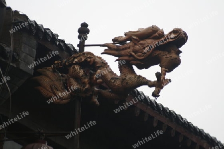 Drache in der Altstadt von Luoyang