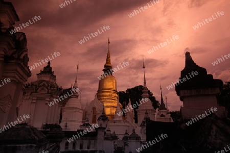 Die Architektur des Wat Suan Dok Tempel in Chiang Mai im Norden von Thailand.