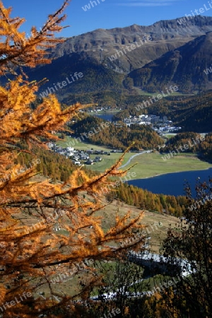 Champfer, St. Moritz