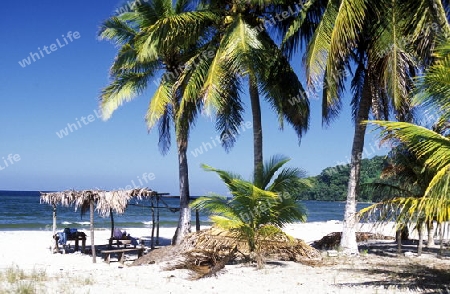 the Beach of Tela near San Pedro Sula on the caribian sea in Honduras in Central America,