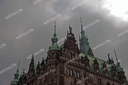 Das Hamburger Rathaus, Tuerme und Dach