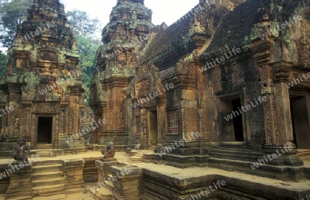 the Banteay Srei temple in Angkor at the town of siem riep in cambodia in southeastasia. 