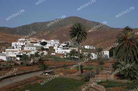 the Village Toto on the Island Fuerteventura on the Canary island of Spain in the Atlantic Ocean.