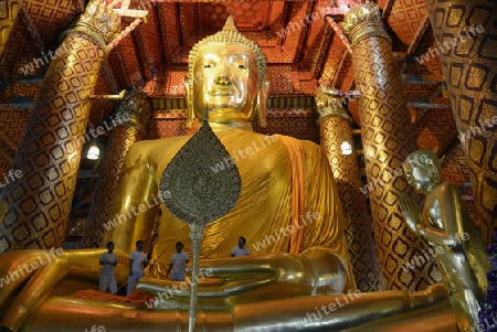 A allday ceremony in the Wat Phanan Choeng Temple in City of Ayutthaya in the north of Bangkok in Thailand, Southeastasia.